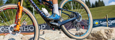 Pedal